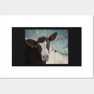 Cow Funny Calf Face Cow Lover Gift Products Posters and Art